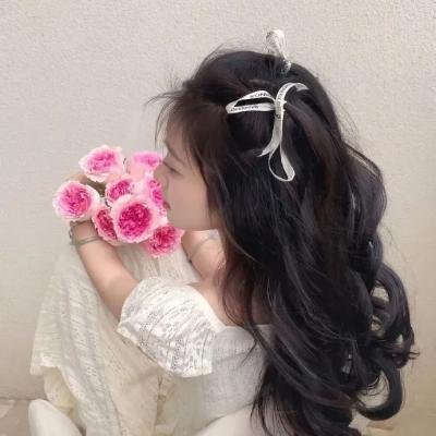 比基尼特工